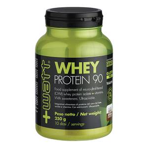 WHEY PROTEIN 90 CACAO POLV250G