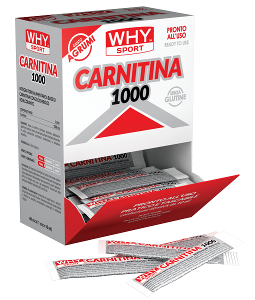 WHYSPORT CARNITINA 1000 10ML