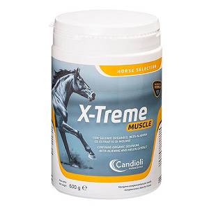 X-TREME MUSCLE 600G