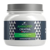 AMINOPEP CREATINA 180G