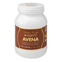 AVENA QUALITY FOOD CACAO 1361G