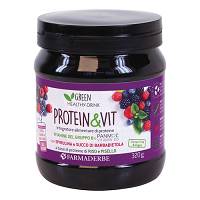 PROTEIN & VIT FRUTTI BOSCO320G